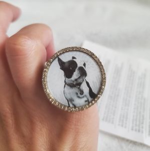 Lenticular Boston Terrier Lucite Ring